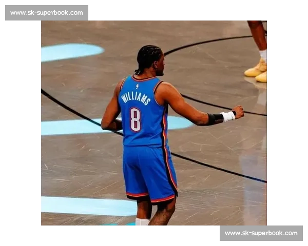 回望2005年NBA季后赛火箭与小牛七场鏖战的宿命对决