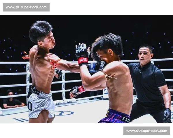 深入探讨VS泰拳的起源发展技法特色与国际影响力分析