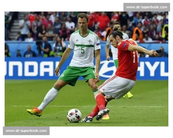 欧洲豪门正面对决比利时与葡萄牙巅峰碰撞之夜焦点战全景前瞻解析