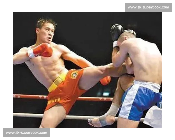 柳海龙vs苑玉宝巅峰对决中国力量与技术的终极较量赛场风云再起谁主沉浮