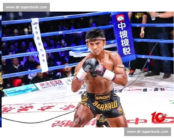 泰森对决播求世纪跨界巅峰之战力量与技术终极碰撞拳击与泰拳交锋